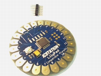 Lilypad 328P microcontroller Arduino compatible.
