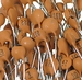 10 x ceramic capacitor 15 nf 100 volts RM 5,08
